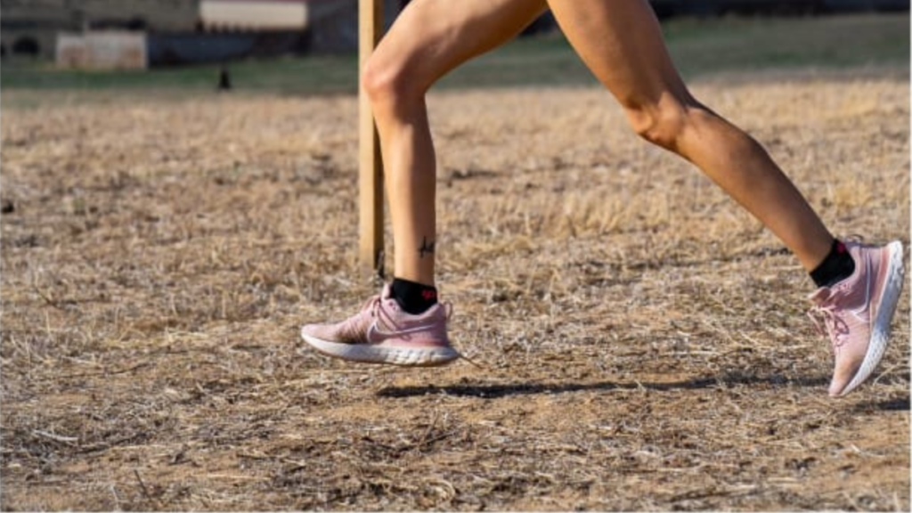 What Is The Difference Between Trail Running And CrossCountry Trail